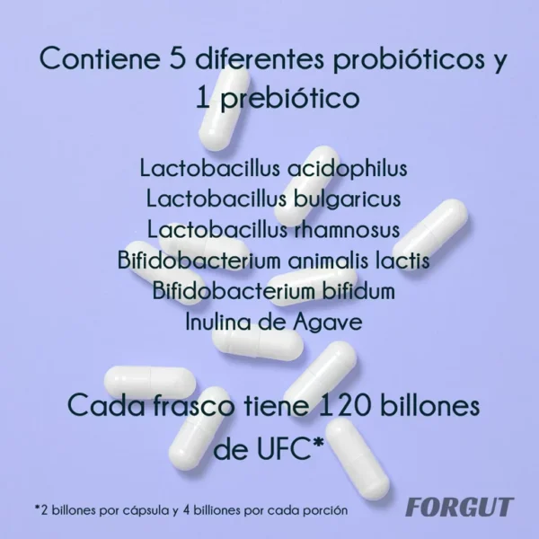 FORGUT Probióticos & Prebióticos 60 cápsulas vegetales - Para Mujeres y Hombres FORGUT 60 cápsulas - Imagen 3